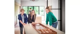 Billard hollandais ou jeu de palet en bois de luxe Jeux de palets Engelhart Age minimum ( en années ):6 ans